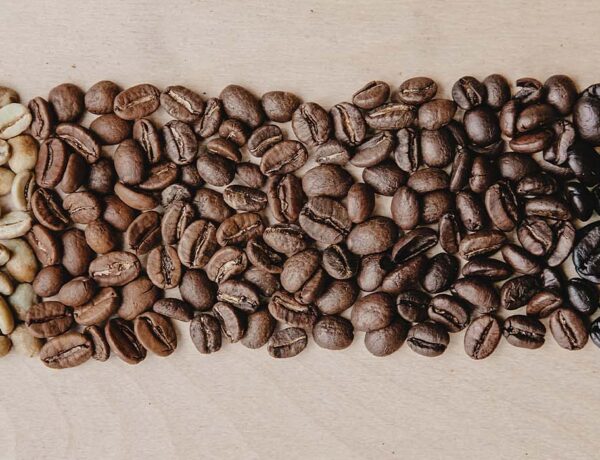 couleur de torréfaction café