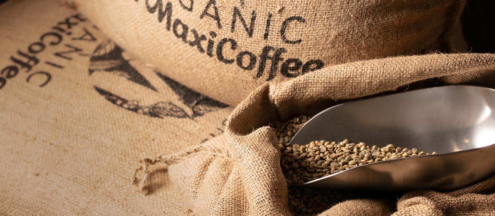 caffè verde coltivazione
