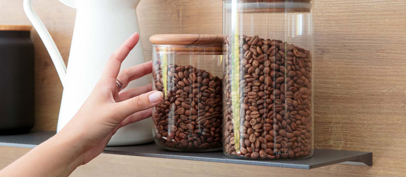 arabica o robusta