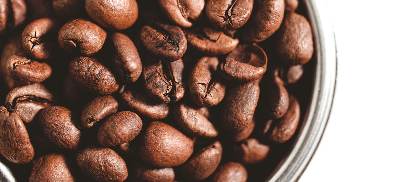 caffè arabica