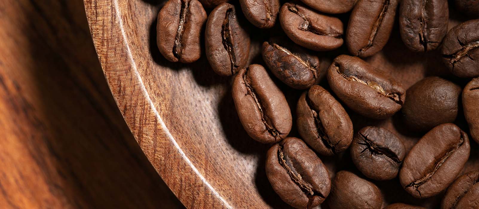 scegliere caffe arabica o robusta