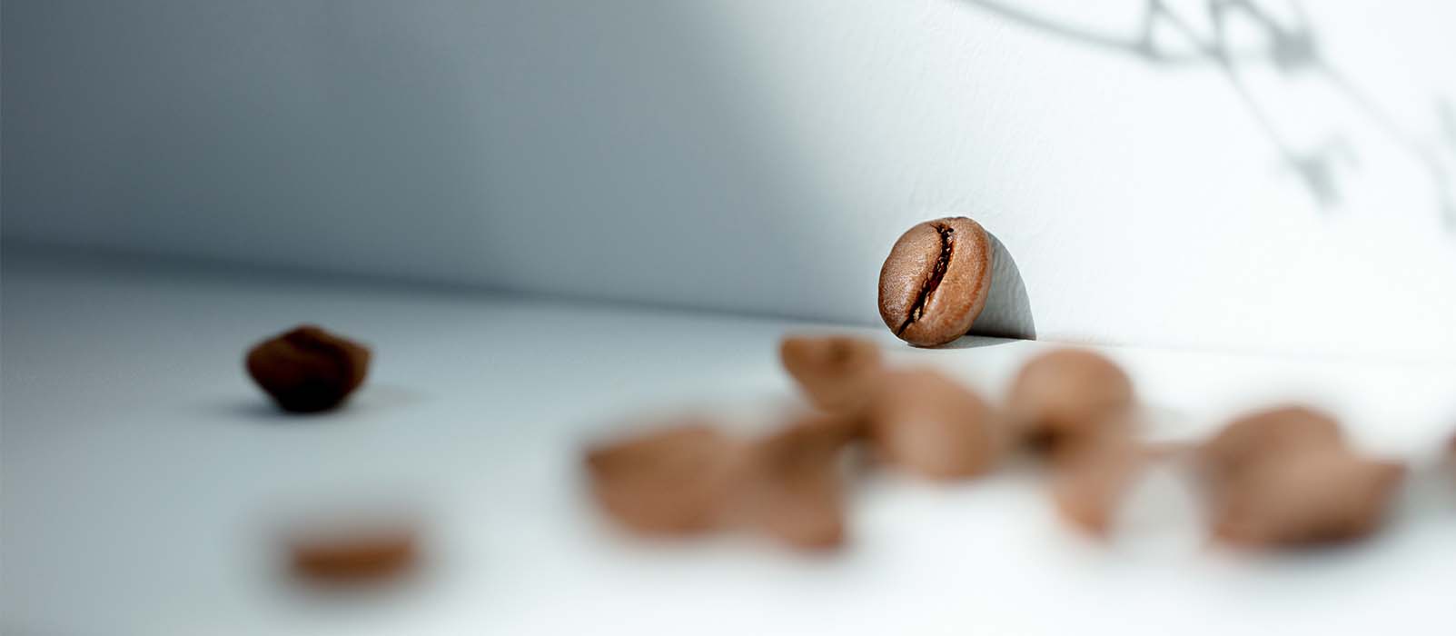 migliori caffè a livello mondiale