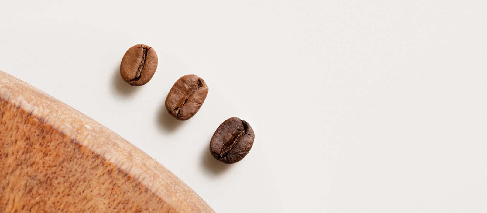 robusta caffè quanto costa