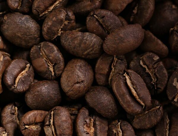 comment choisir son café